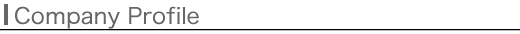 Company Profile